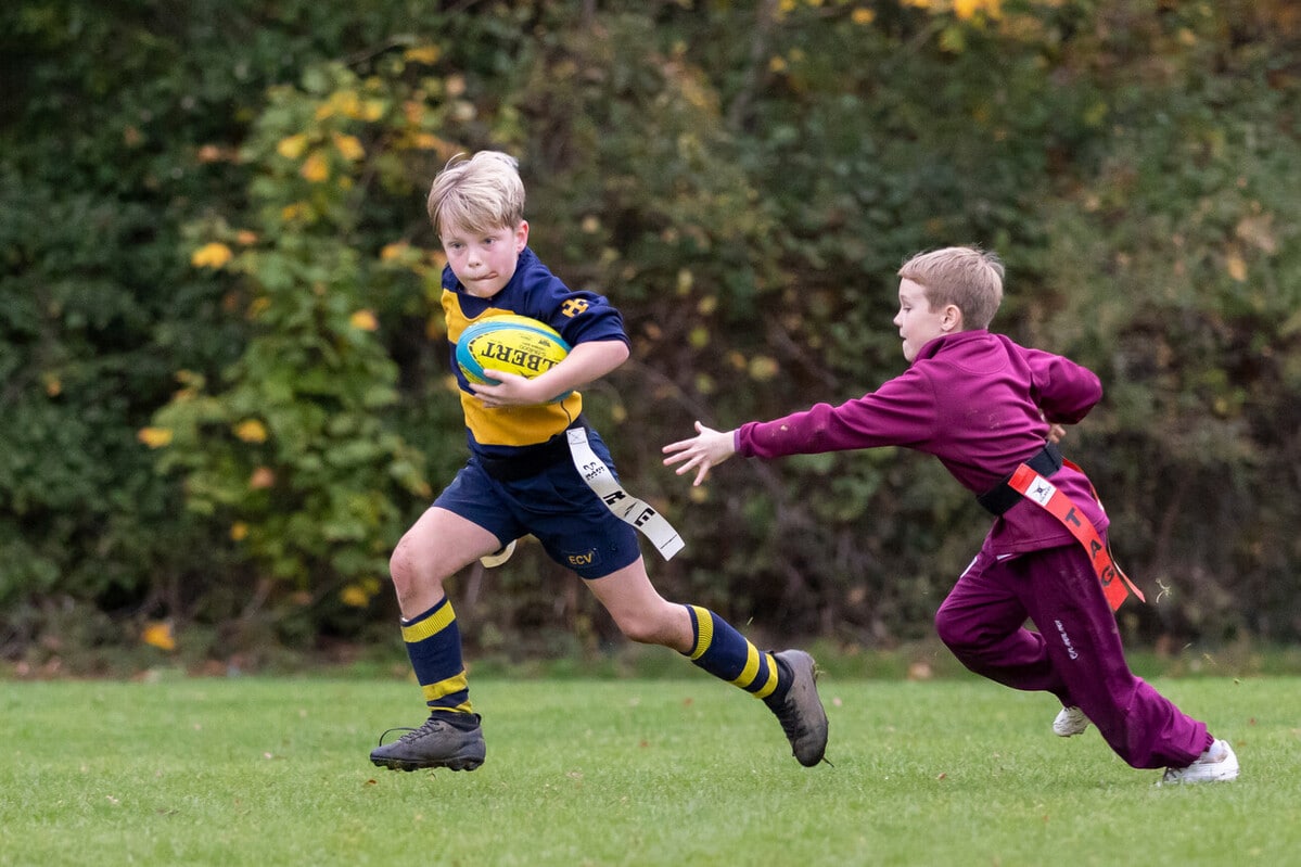 U8/9 Rugby Festival