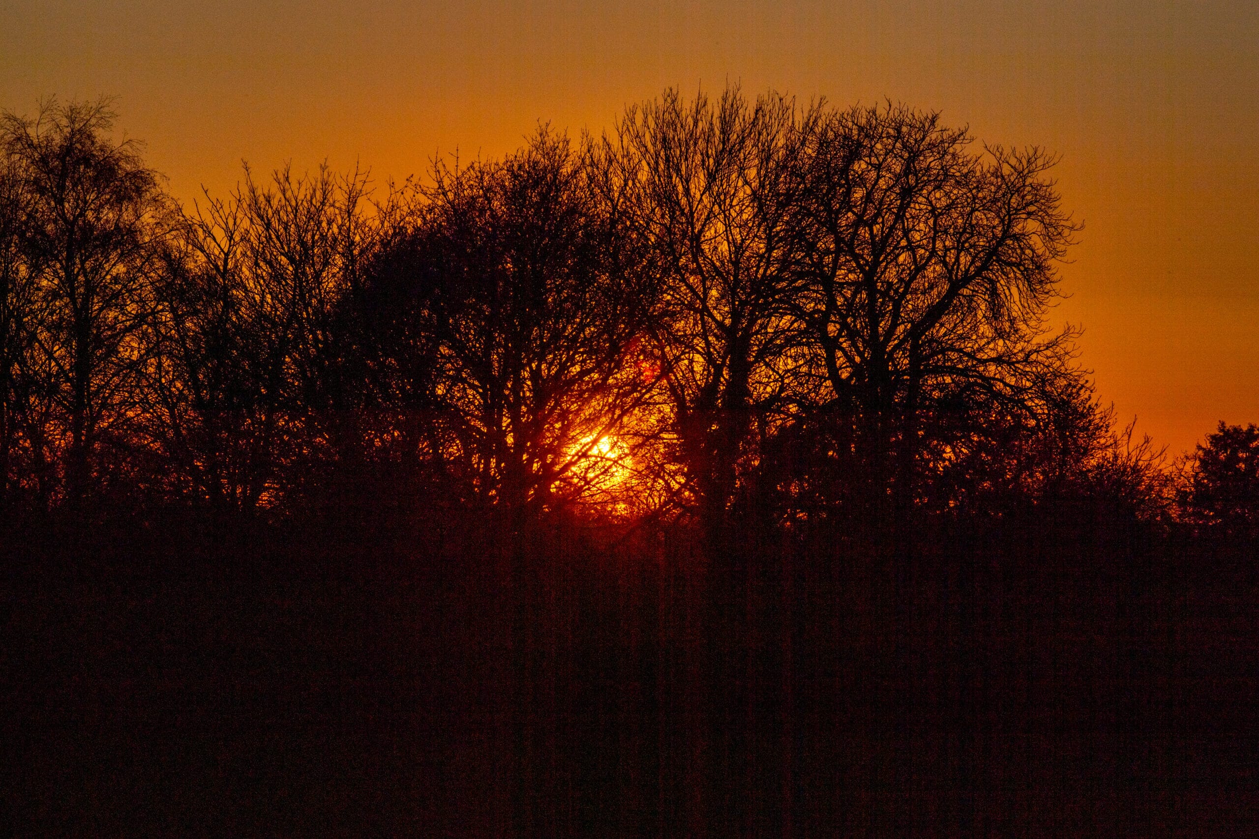 Sixth Form Welcome Morning