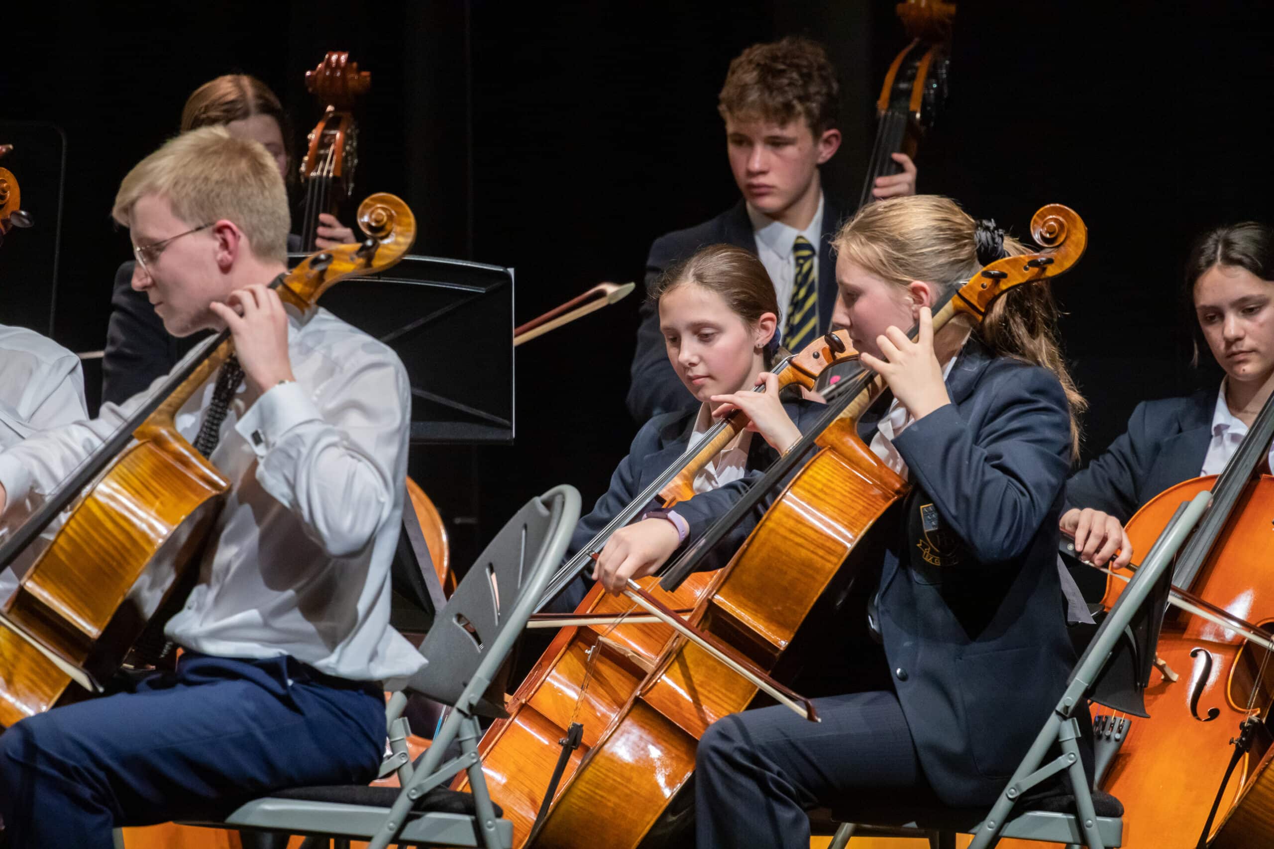 Summer Concert